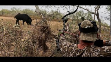 POINT BLANK head shots.