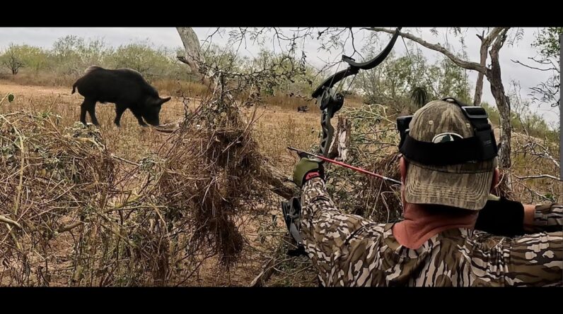 POINT BLANK head shots.