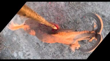 Speared a Monster, 3 Camera Angles