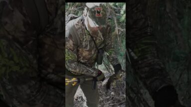 Tree Rat gets a Dart in the Pump House