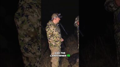 Hunting at Night: Scope, Thermal Imaging, and Landowner's Permission #shorts