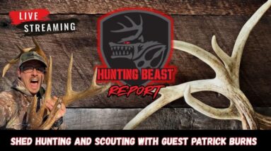 (LIVE) The Beast Report Ep. 102 Sheds and Scouting with Guest Patrick Burns
