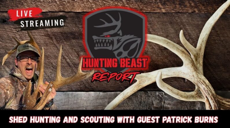 (LIVE) The Beast Report Ep. 102 Sheds and Scouting with Guest Patrick Burns