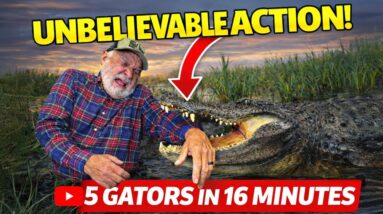 We CAUGHT 5 GATORS in Louisiana | Bayou MAYHEM!!