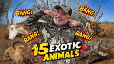 We took 15 EXOTIC animals in 8 Minutes at the G2 Ranch