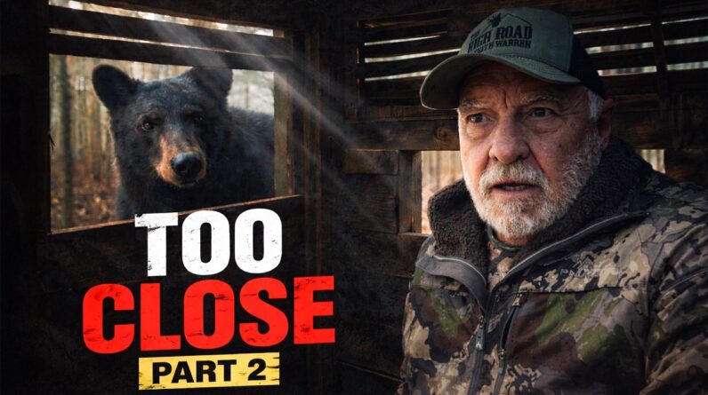 A Bear Vacation | Alberta Canada Part 2