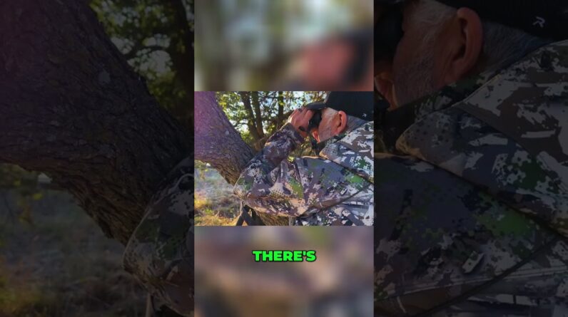 Deer Hunter's Thrilling Anticipation: Spotting Deer Movements! #shorts