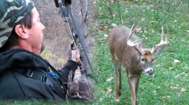 Great White Tail Hunters