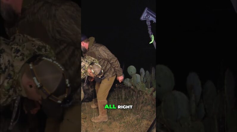 Hunters Examine a Massive Boar: See the Wild Hunt! #shorts