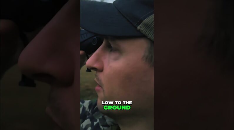 Night Vision Hog Hunt! Epic First Kill and More Hunting! #shorts