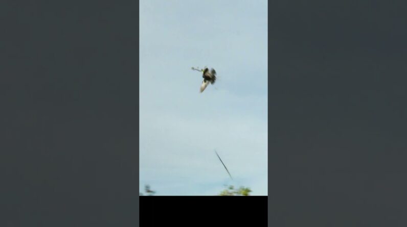 No Fly Zone, Bow Hunting with Tim Wells