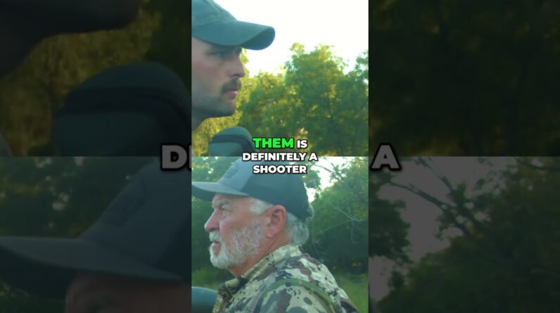 Hunters Spot a HUGE Stag: Strategy & Location Scout for the Perfect Shot! #shorts