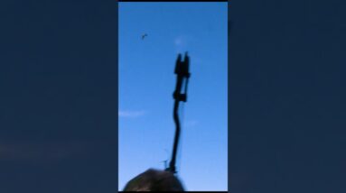 The Love Of Bowhunting