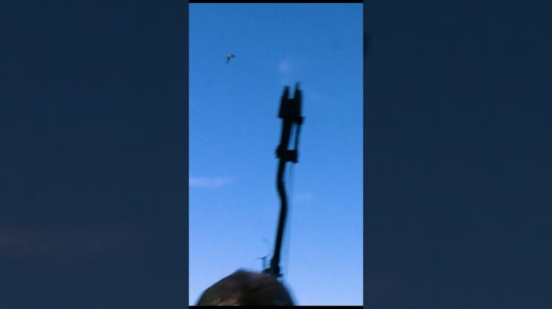 The Love Of Bowhunting