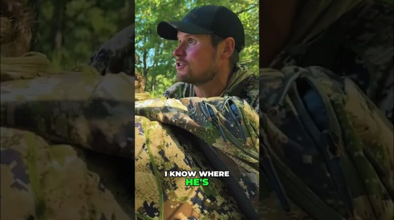 Elk Hunt Begins! Epic Shot and Forest Maneuvers! #shorts