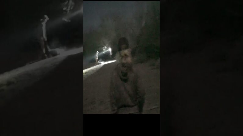 Giant Hole, Giant Boar Hog