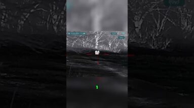 Hog Hunting: Thrilling First Shot & Epic Countdown Under the Scope! #shorts