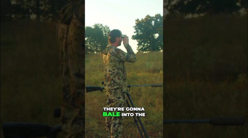 Hunters' Epic Encounter: Bull & Harem's Surprise Turn! #shorts