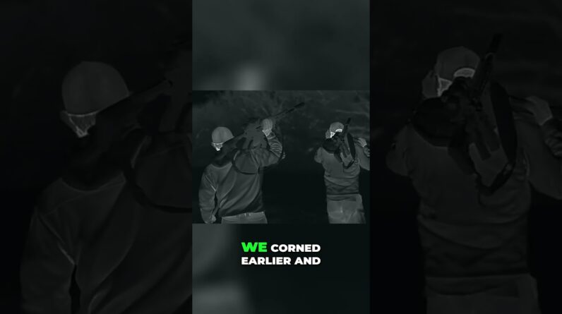 Night Hunt: Precision Hog Shots and Hunter's Thrilling Encounters #shorts