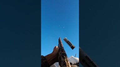 No Mercy, Snow Goose Migration