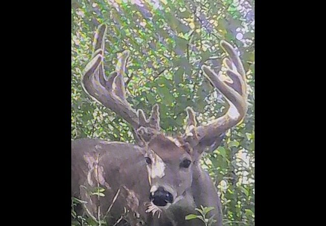 The classic over looked spot