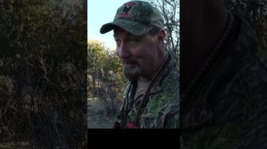 The entire pack came running!