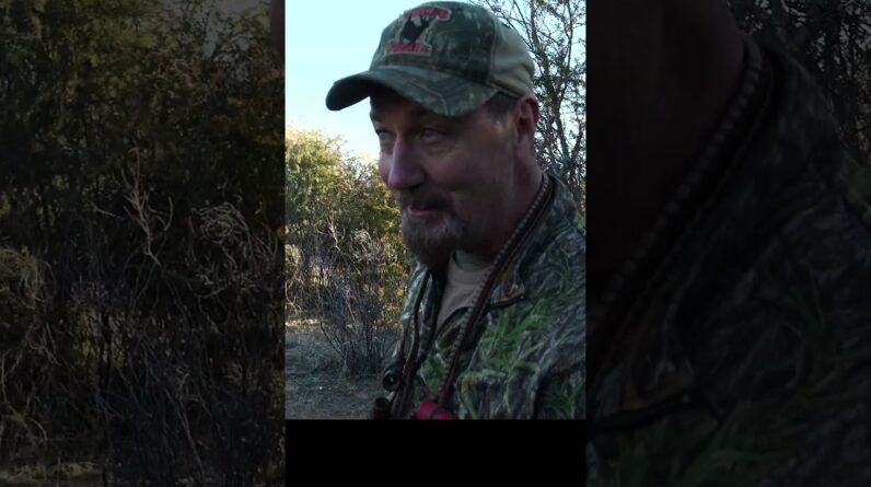 The entire pack came running!