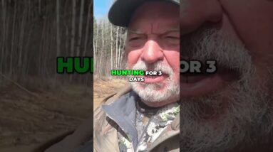 Alberta Bear Hunt: Mud, Quads, and Unexpected Close Encounters! #shorts