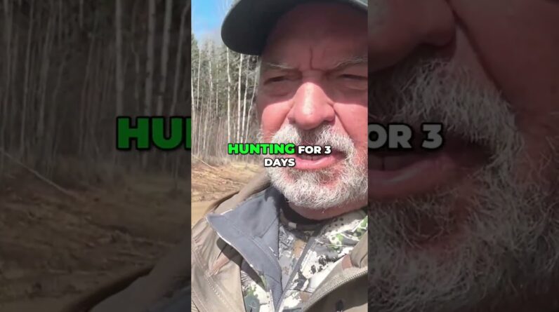 Alberta Bear Hunt: Mud, Quads, and Unexpected Close Encounters! #shorts