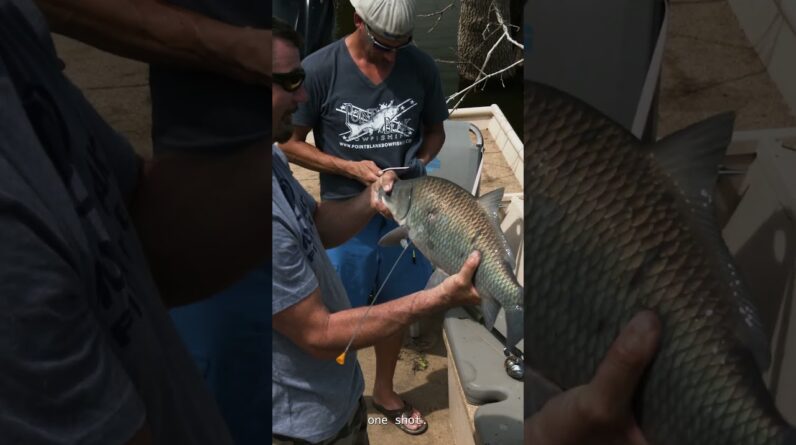 Man invents Fish Hawk Blowgun, shoots fish, breaks drone in three minutes.