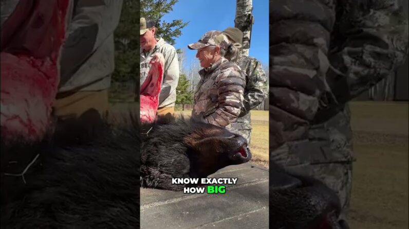 Bear Kill Shots: Skinning, Measuring, and Preserving the Hide! #shorts