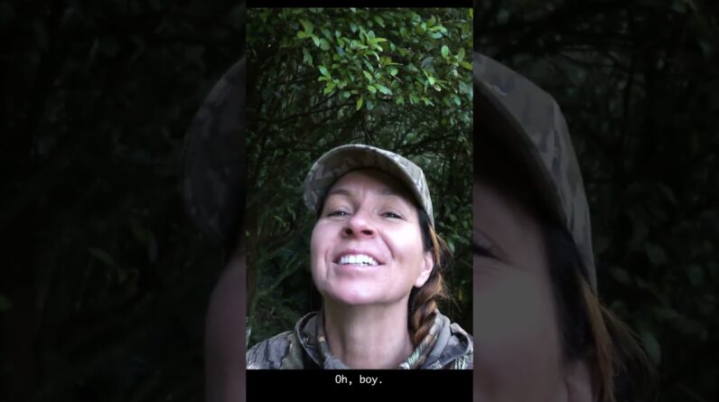 Dropped a lob from 45. Stag Archery