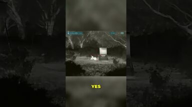 Headshot! Watch this epic hog hunting killshot in the dark! #shorts