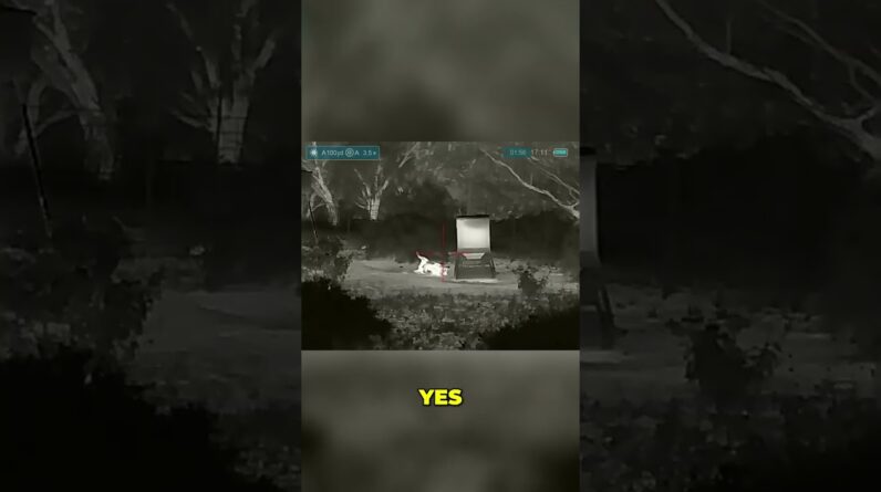 Headshot! Watch this epic hog hunting killshot in the dark! #shorts