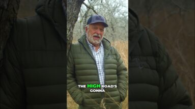 Hog Hunting Adventure: Watch Us Hunt with Timber Creek Outdoors! #shorts