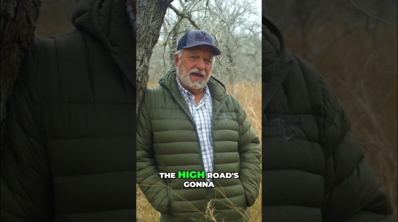 Hog Hunting Adventure: Watch Us Hunt with Timber Creek Outdoors! #shorts