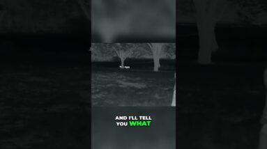 Hog Hunting Night: Epic Shots, Missed Chances & Wild Hunting Styles! #shorts