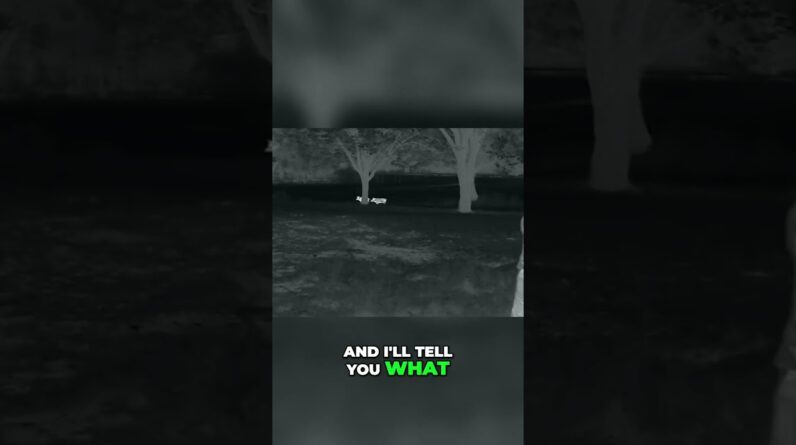 Hog Hunting Night: Epic Shots, Missed Chances & Wild Hunting Styles! #shorts