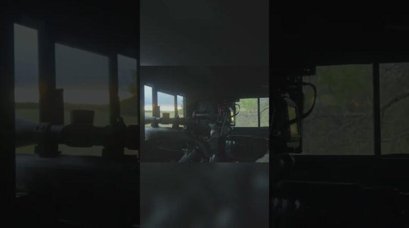 Hunter's Epic Showdown: Deer Stroll, Rifle Ready!  #shorts