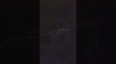 Hunting Axis Doe: Epic Shot! Watch Her Reaction (and My Ears!) #shorts