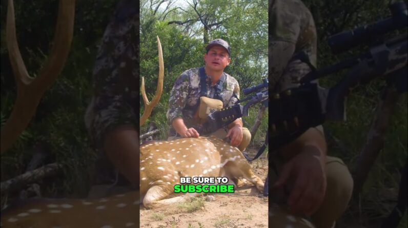 Hunting with Excursion Rifle: Epic Hunt, Grill & Subscribe! #shorts