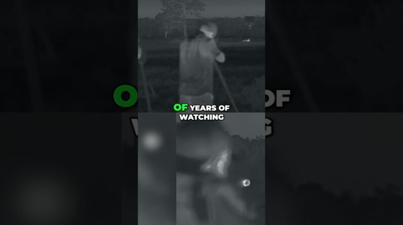 Hunting with Thermal: Witness the Thrill of the First Encounter! #shorts