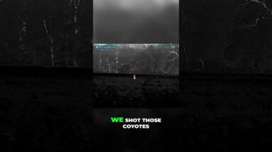 Silent Kill: Why AR Suppressors Make You a Deadly Hunter #shorts