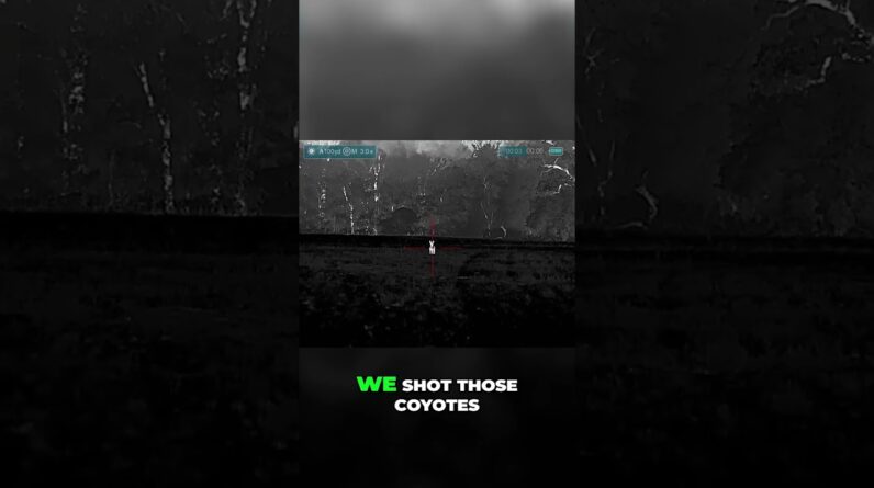 Silent Kill: Why AR Suppressors Make You a Deadly Hunter #shorts