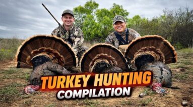 Turkey Hunting Compilation!!! | 16 Birds Down