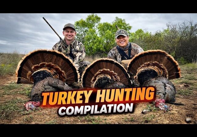 Turkey Hunting Compilation!!! | 16 Birds Down