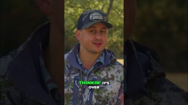 YouTube Rabbit Call HUNT! First Coyote Down, Then Another?! #shorts