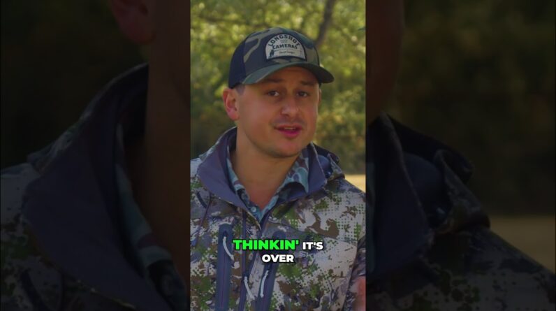 YouTube Rabbit Call HUNT! First Coyote Down, Then Another?! #shorts