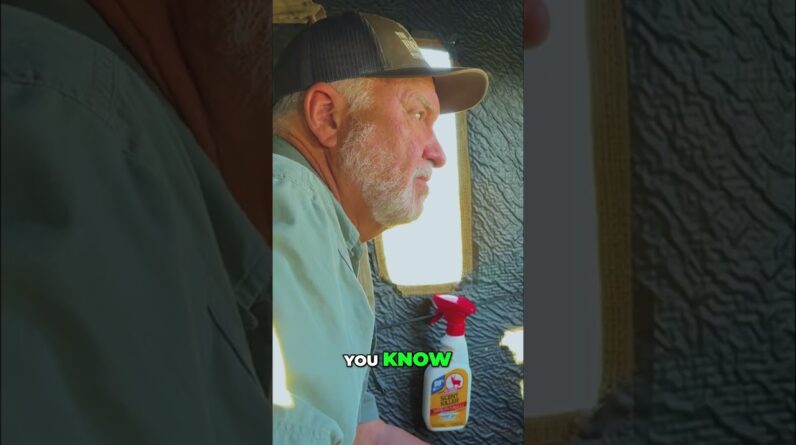 Buck Returns! Hunter's Perfect Shot & Leaving the Blind #shorts