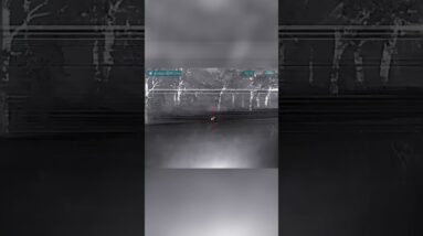 Coyote Hunt: Watch the Intense Thermal Action! #shorts
